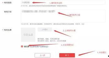 头条号我的认证在哪找,轻松找到我的认证信息】