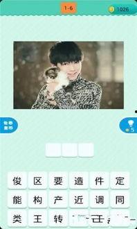 看图猜明星 蝙蝠,蝙蝠侠的银幕传奇